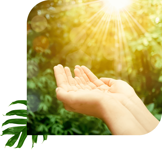 Open hands reaching toward sunlight in a peaceful setting.