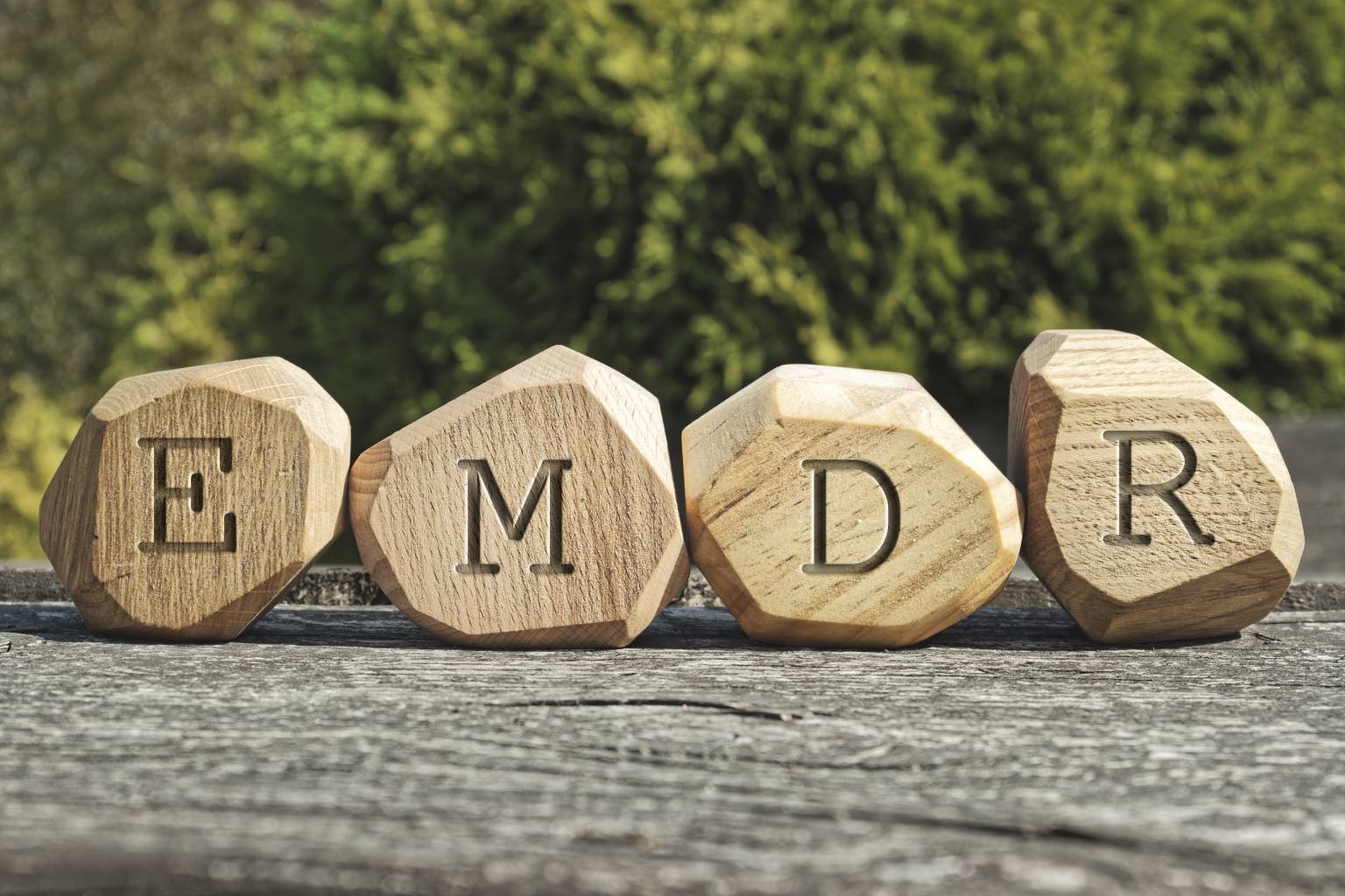 Wooden blocks spelling 'AMD' on a wooden surface with greenery background.